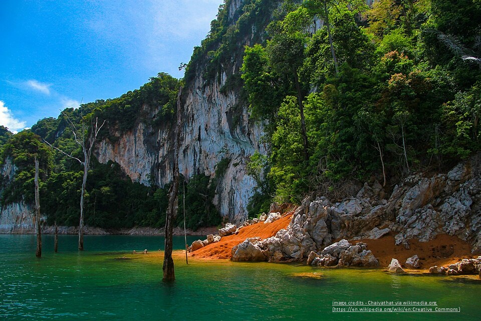 Khao Sok National Park - Rainforest and Limestone Peaks_Best places to visit in Thailand